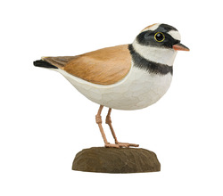 wildlife_garden_decobird_little_ringed_plover[1].jpg